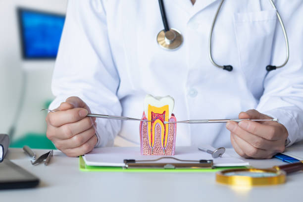 Best Emergency Root Canal Treatment in Rose Lodge, OR